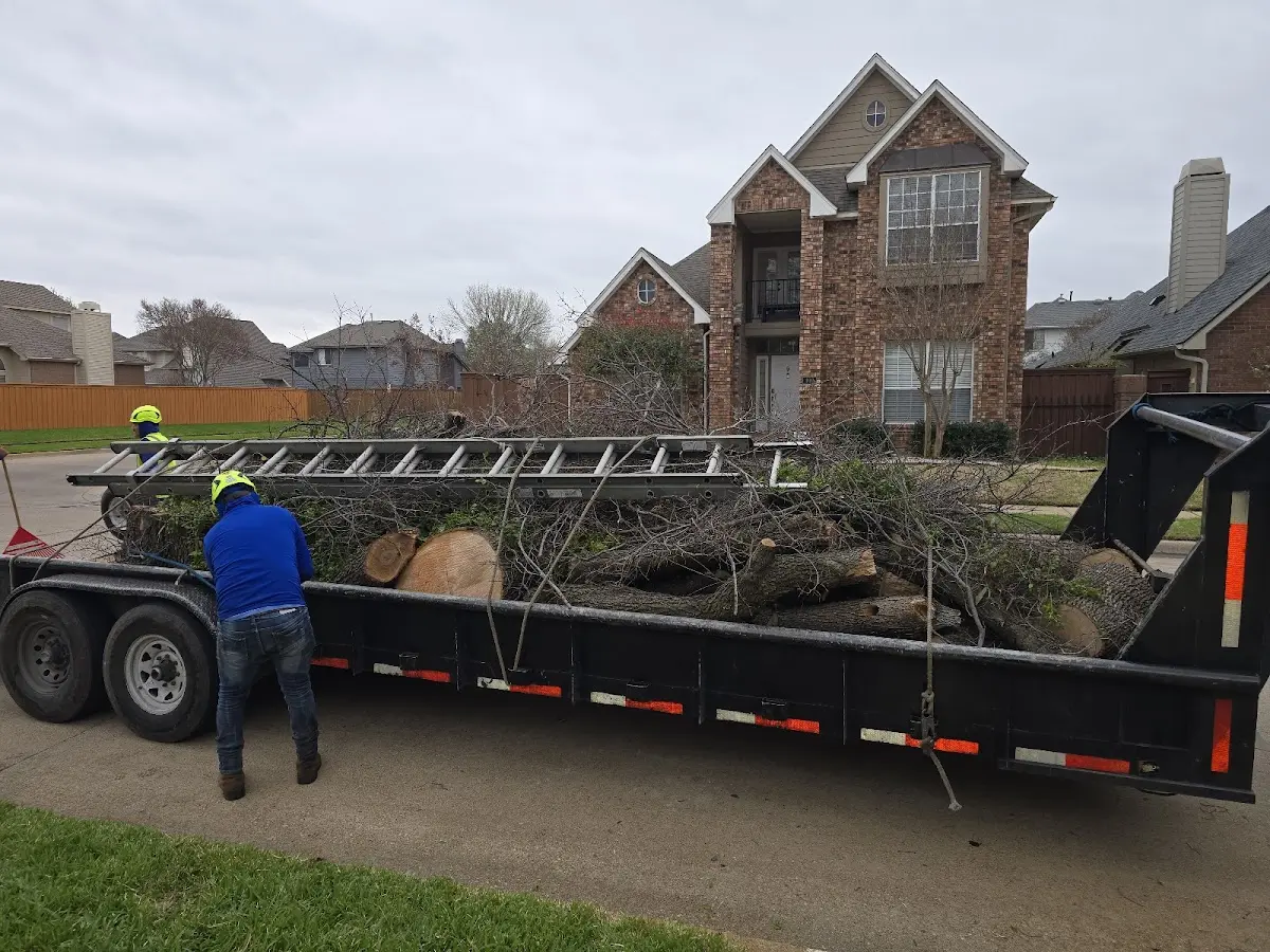 Expert Tree Removal with proper safety equipment in Succasunna